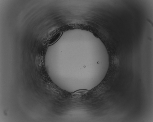 X0000103230965200809251300