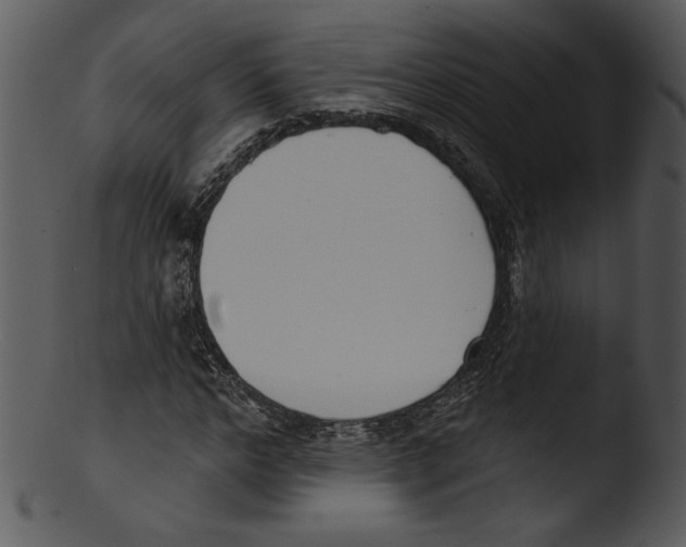 X0000103230968200809251300