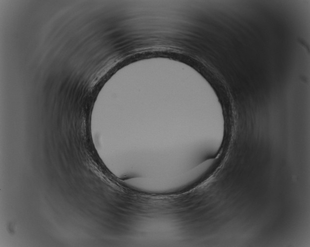 X0000103230969200809251300