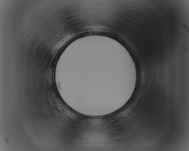 X0000103230970200809251300