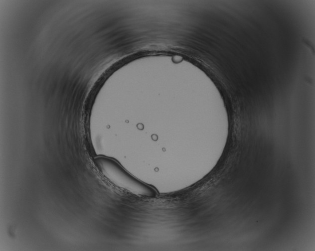 X0000103230976200809251300