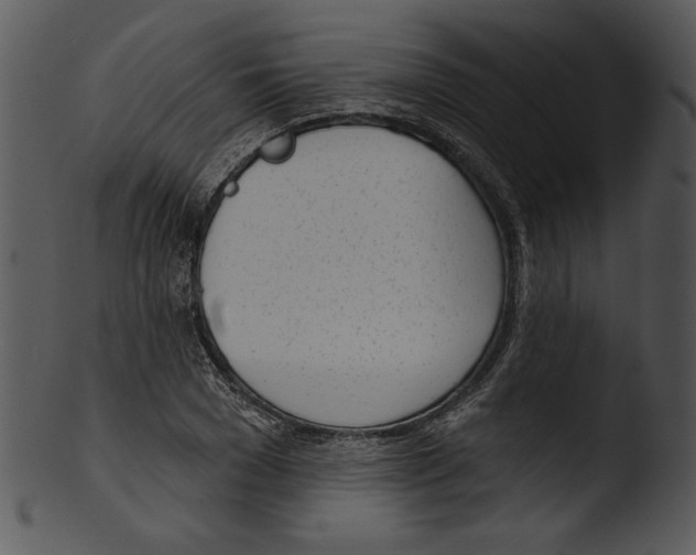 X0000103230977200809251300