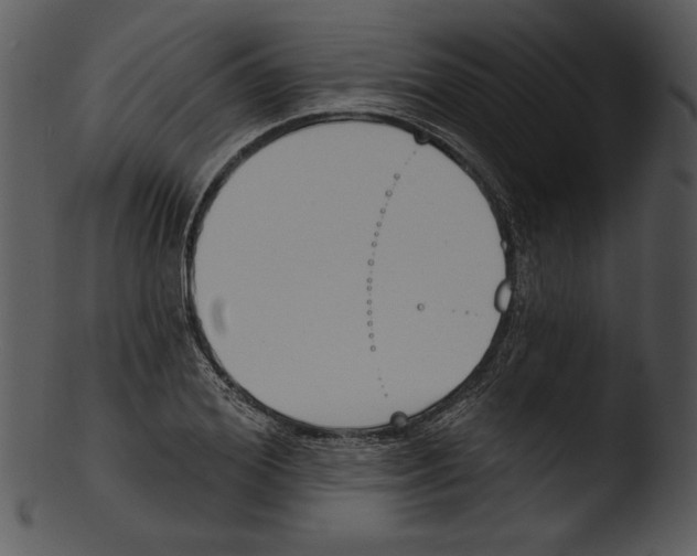 X0000103230980200809251300