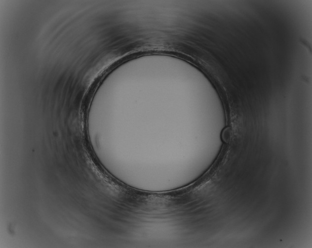X0000103230981200809251300