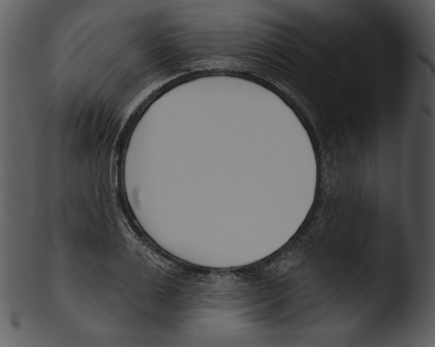 X0000103230983200809251300
