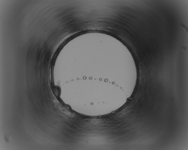X0000103230984200809251300