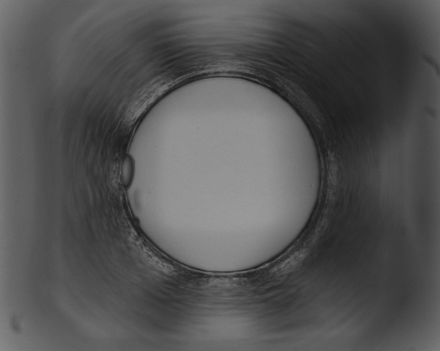 X0000103230985200809251300