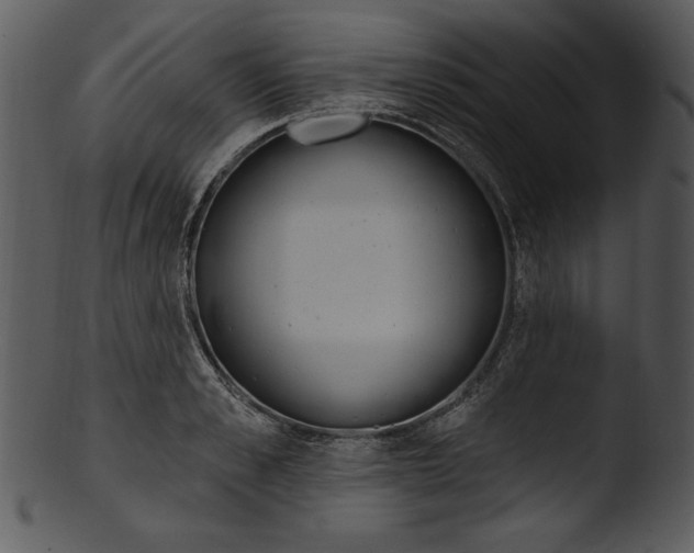 X0000103230989200809251300