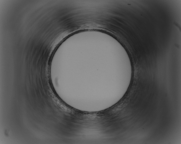 X0000103230990200809251300