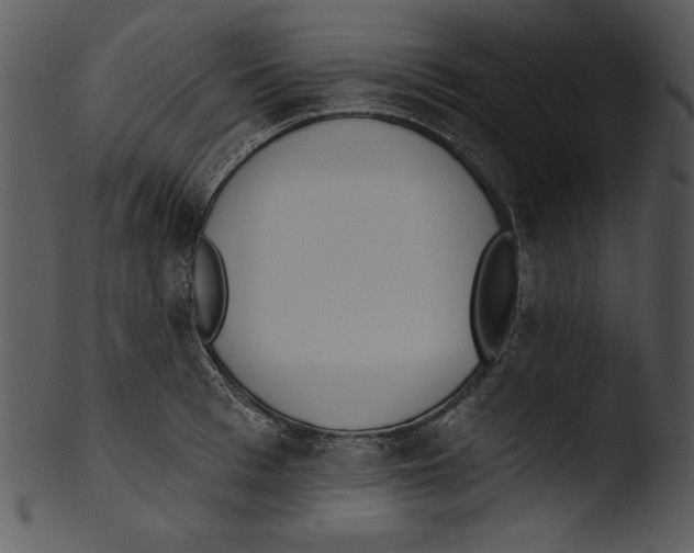X0000103230993200809251300