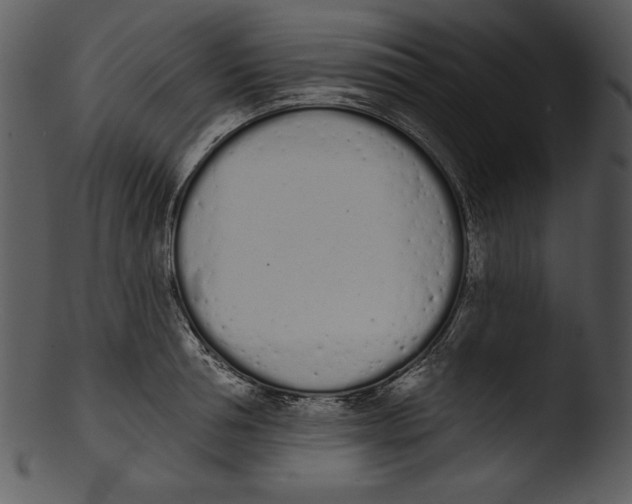 X0000103230994200809251300
