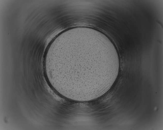 X0000103230995200809251300