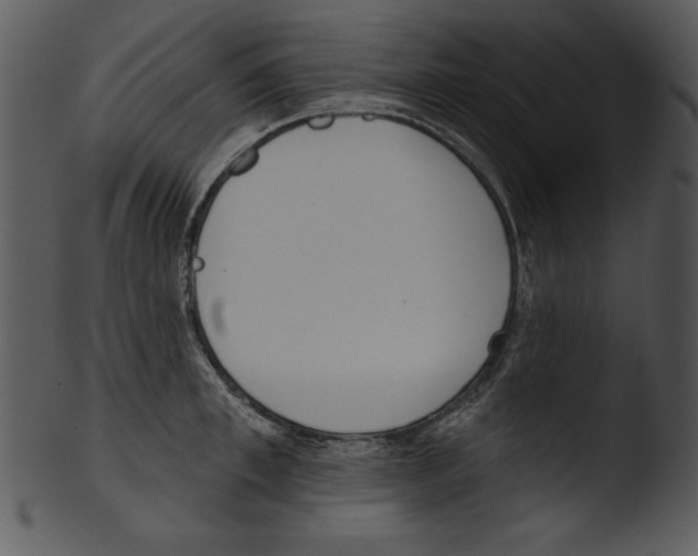 X0000103230997200809251300