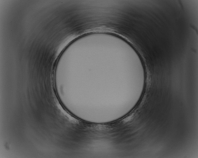 X0000103230998200809251300