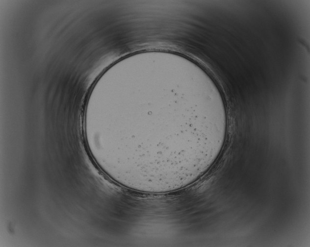 X0000103230999200809251300