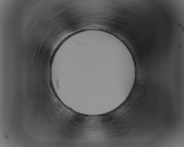 X0000103231000200809251300