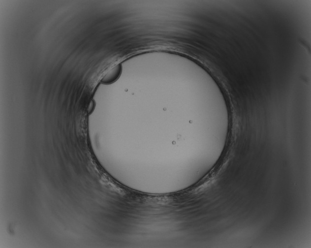 X0000103231001200809251300