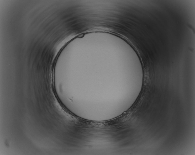 X0000103231003200809251300