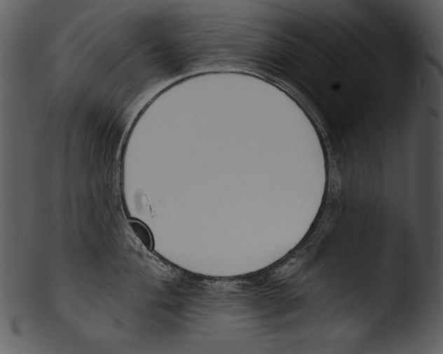 X0000103231004200809251300