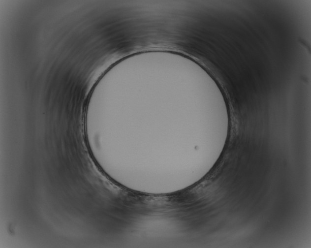 X0000103231006200809251300