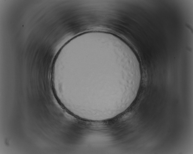 X0000103231007200809251300