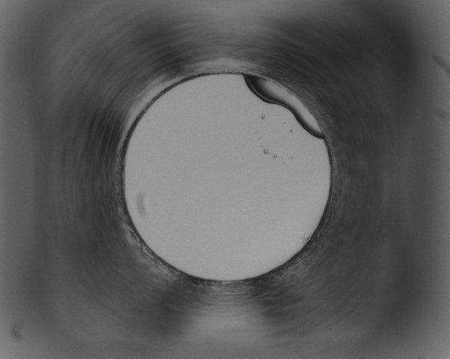 X0000103231008200809251300