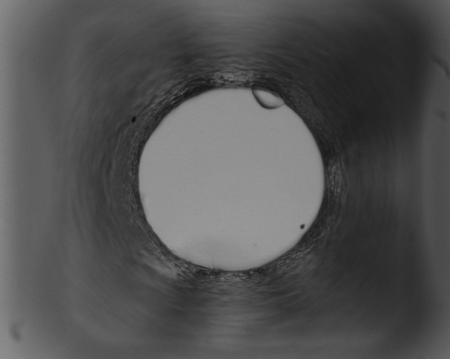 X0000103231009200809251259
