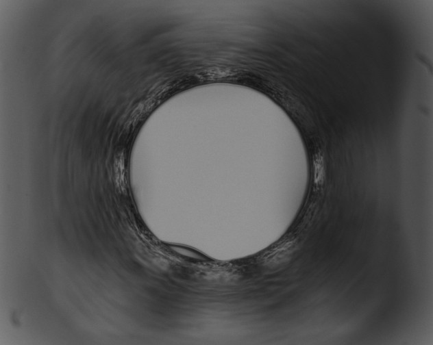 X0000103231011200809251259