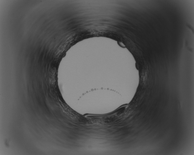 X0000103231012200809251259