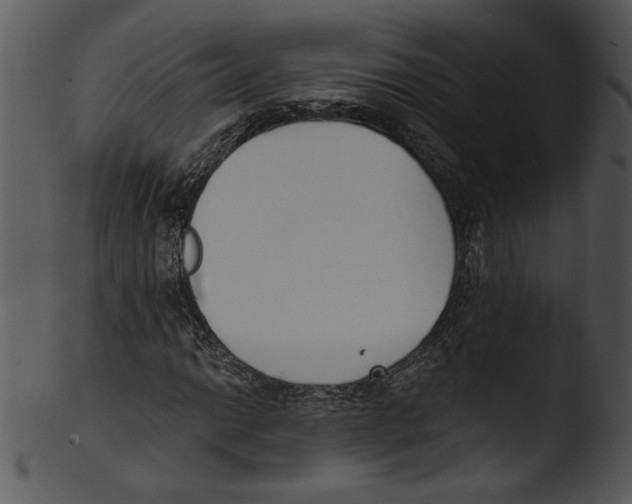 X0000103231014200809251259
