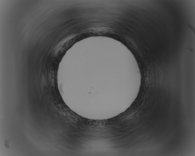 X0000103231016200809251259