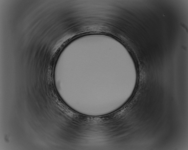 X0000103231019200809251259