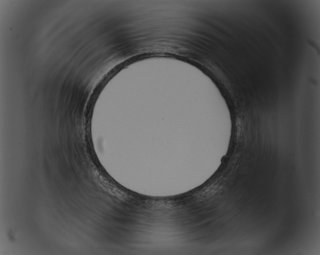 X0000103231020200809251259