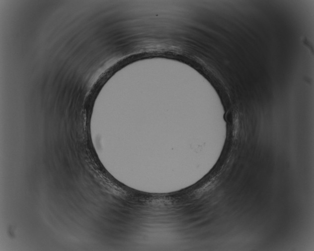 X0000103231021200809251259