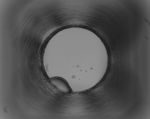 X0000103231022200809251259