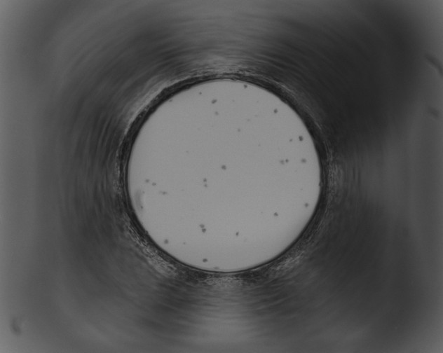 X0000103231023200809251259