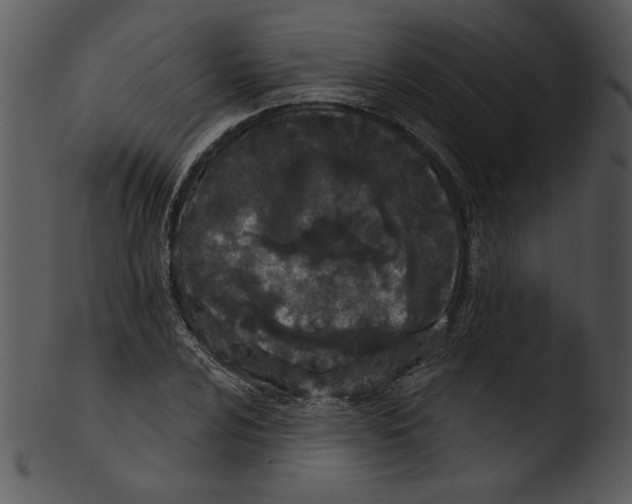 X0000103231024200809251259