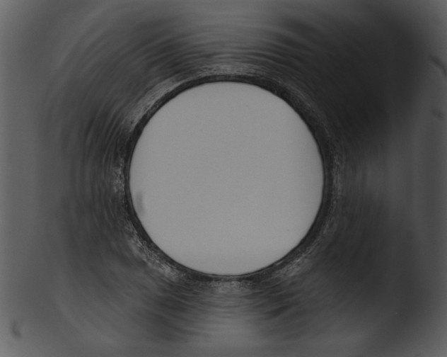 X0000103231025200809251259