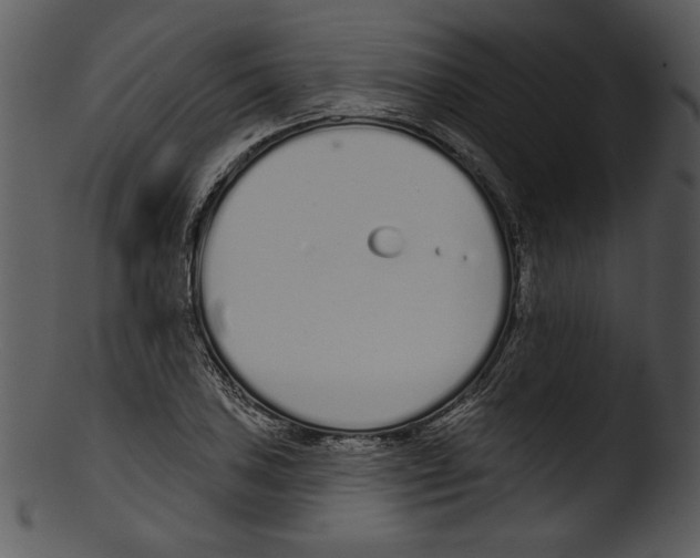 X0000103231027200809251259