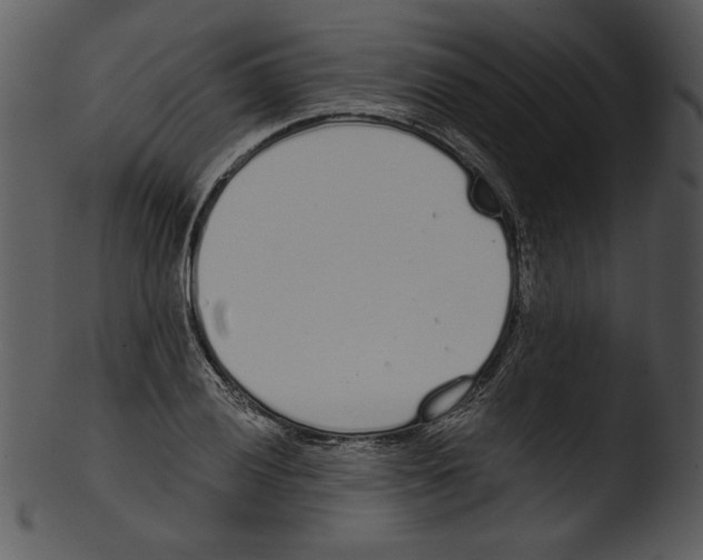 X0000103231028200809251259