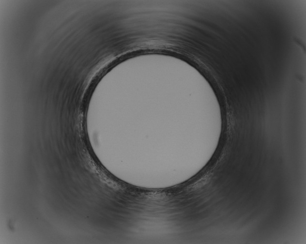 X0000103231029200809251259