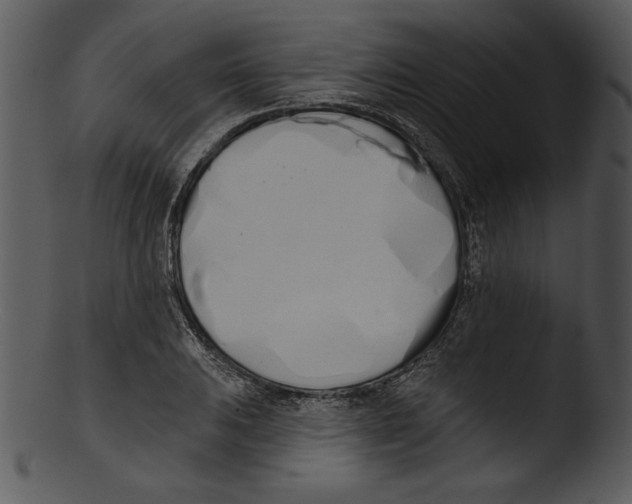 X0000103231031200809251259