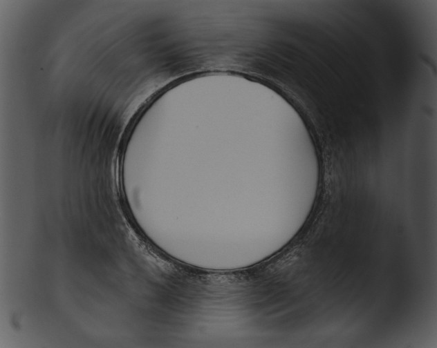X0000103231032200809251259