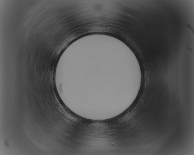 X0000103231033200809251259