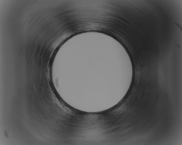 X0000103231034200809251259
