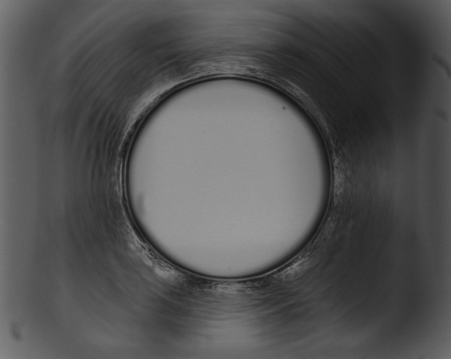 X0000103231035200809251259