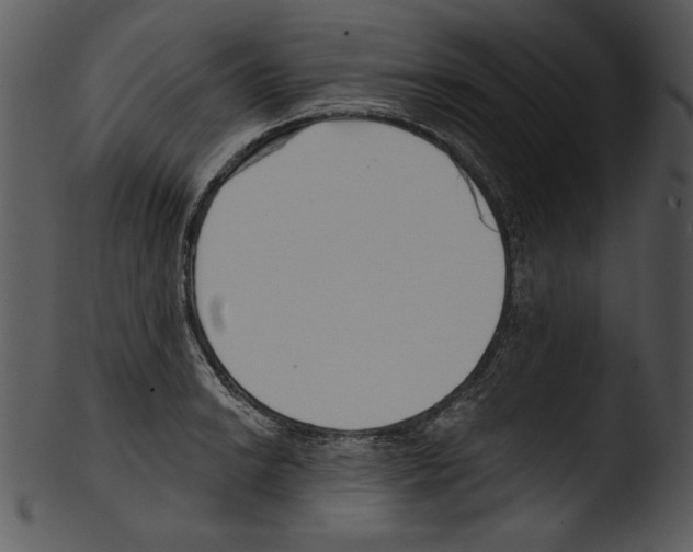 X0000103231038200809251259