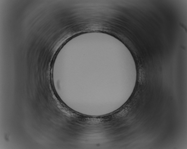 X0000103231039200809251259