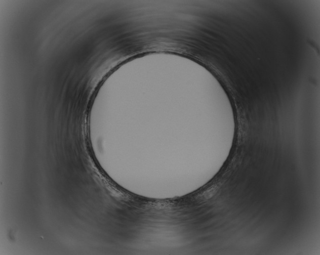 X0000103231040200809251259