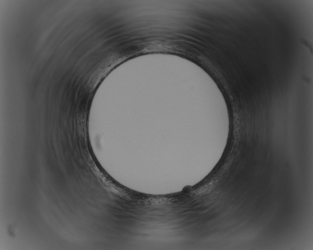 X0000103231041200809251259